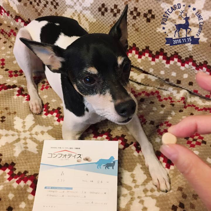 26383537 a586 416a 9580 fcea47c7e079