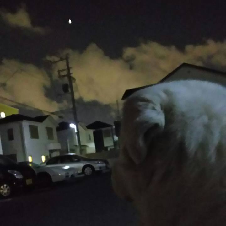 263847ad e6aa 4d5a be49 449f16a69960