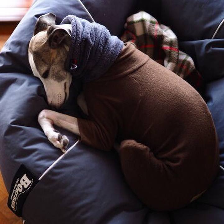 26384c05 ccb8 4ad7 9826 9b91269ece1e