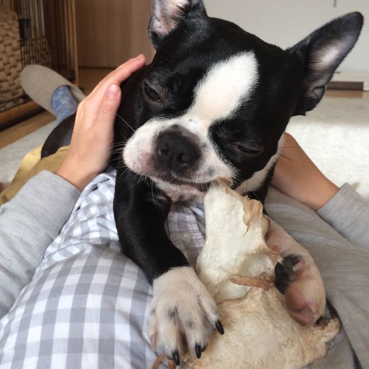 26395610 35b2 4dd1 80cf a5ea70451a23