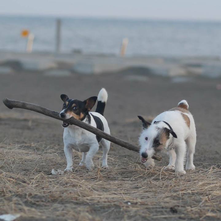 2639964b ae69 4532 90b7 ccead85ebdb7