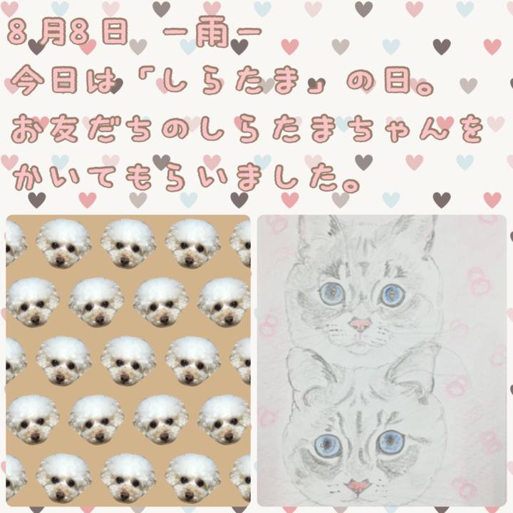 2639c0f3 1b55 48b1 88e0 d08f445e17d2