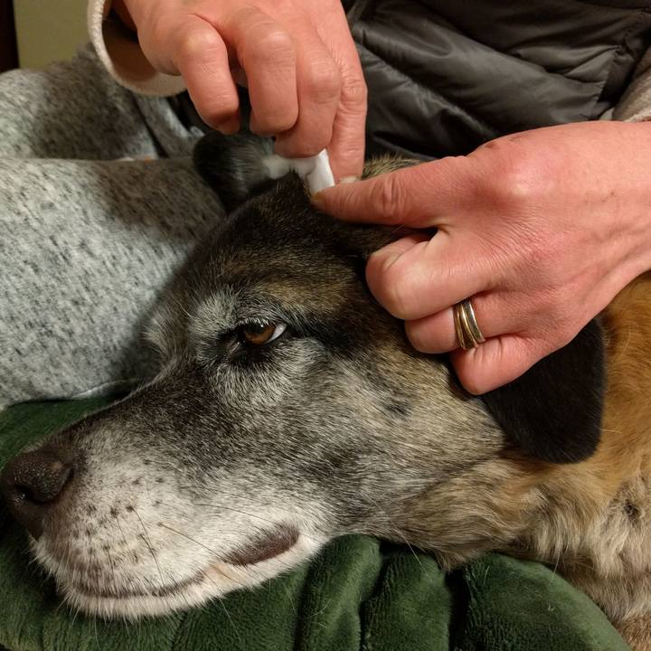 2639cd17 962c 4ce9 b69e 6b75d171ba0f