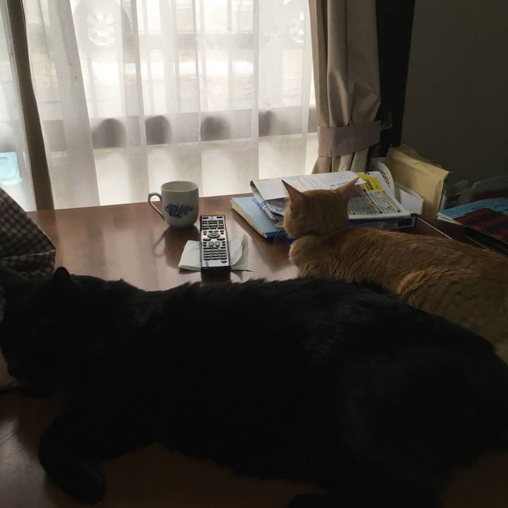 2639d3e0 ad2b 4b9e b318 58e803586a30