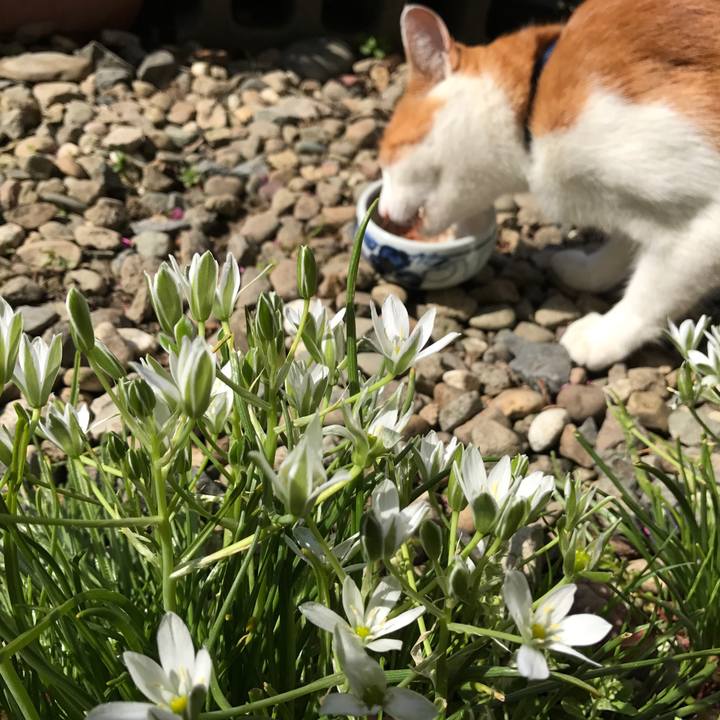 2639e274 2ea6 4687 b430 9d11a2b27eb0