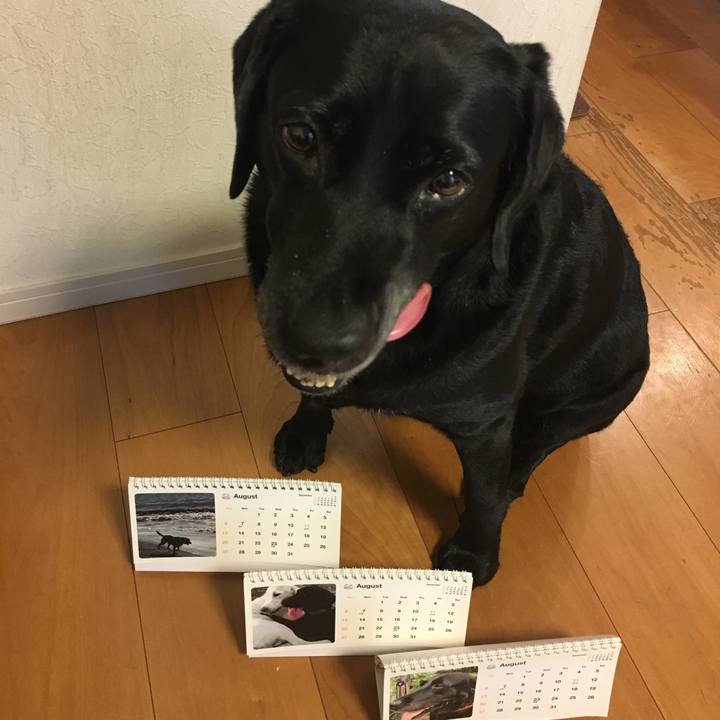 263a3846 9a1b 436d b6c8 9aa05970483b