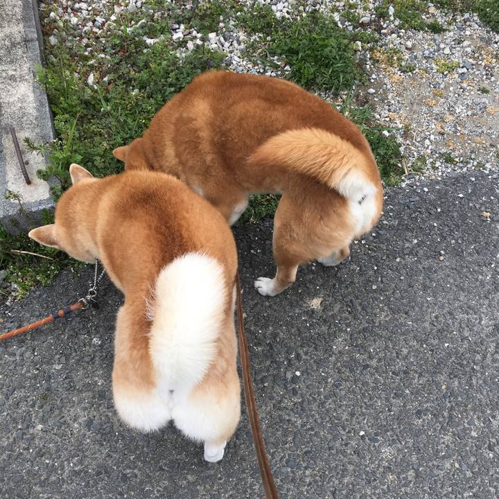 263aa10b a70c 4342 8c66 3b8a29af3a93