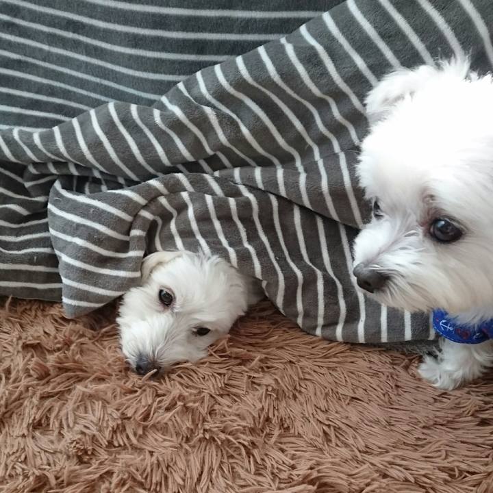 263aed79 1a90 49bb a539 5e4d19ebae6c