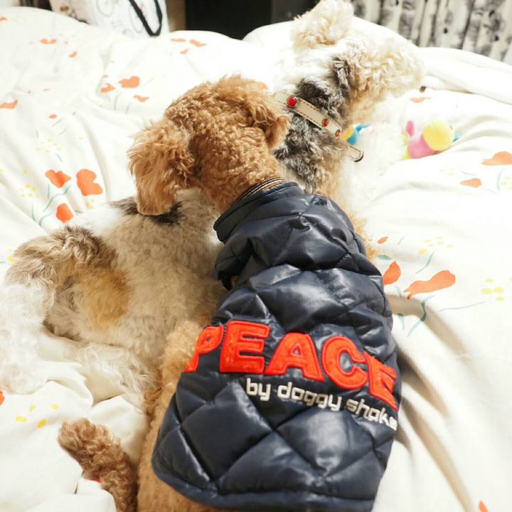 263b0394 b5ef 4c4c b095 9b8d318b81dd