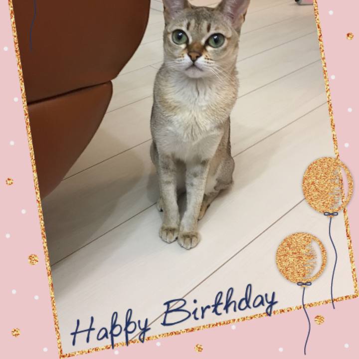 263b2663 7138 42b0 aa8c a9039dc55495