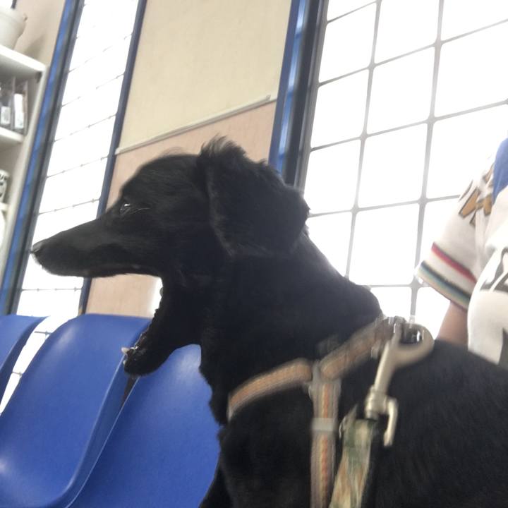 263ba043 3feb 4266 a5d6 9780890fa8d7