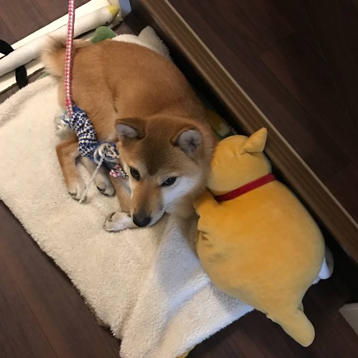 263c2167 24a8 498c ad9b adae223bbf74