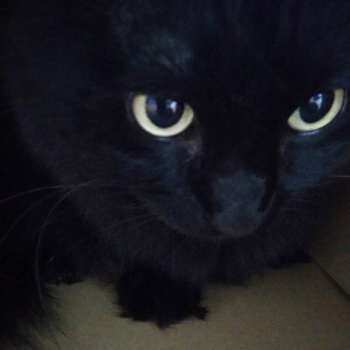 263c29e4 adc0 4517 9f1c 27f35d81b52d