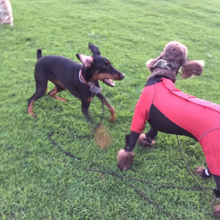 263cc3c4 6e47 4aad 8447 64869322d397