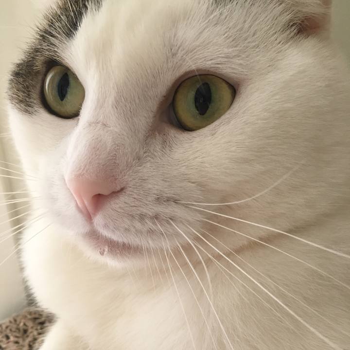 263d56a2 4e68 4797 97d0 6f89cdec786b