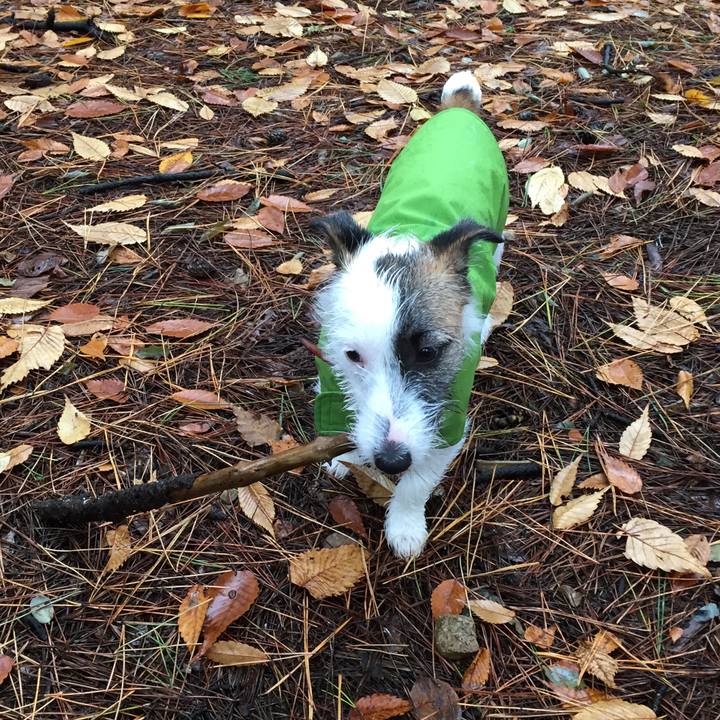 263e1d9e 32a1 45a6 ad8a eec47e337978