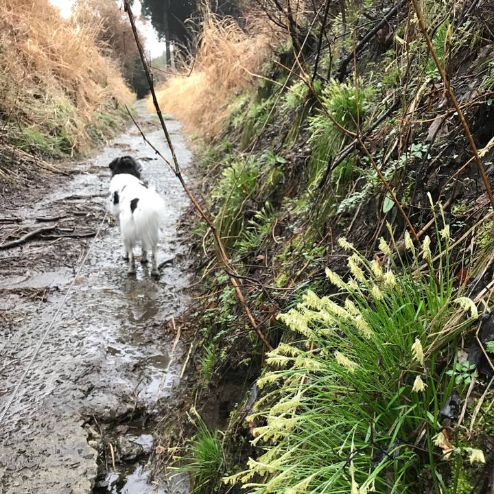 263e3c2f 0e8c 45ca 9098 96bd41ea9d3f