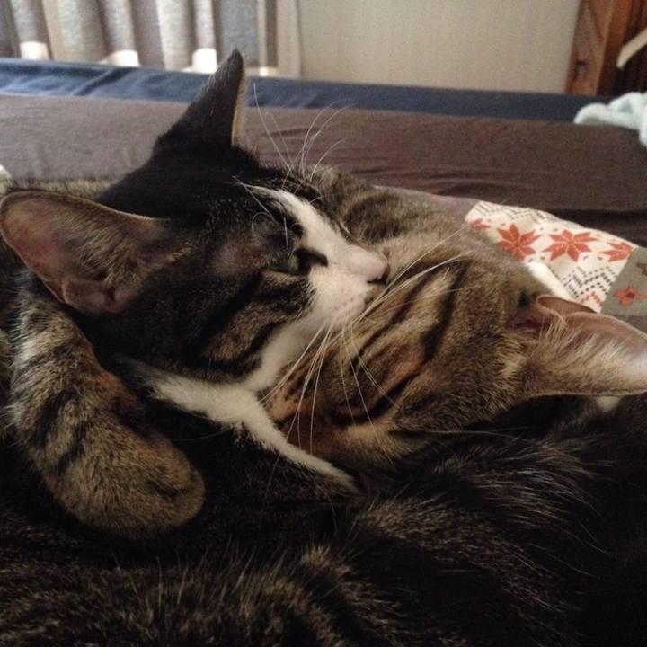 263e3f7f 4355 49f6 9ed1 36ad9c412cbb