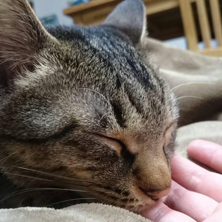 263e8f82 8189 45ee b9d0 78bf70dad4a6