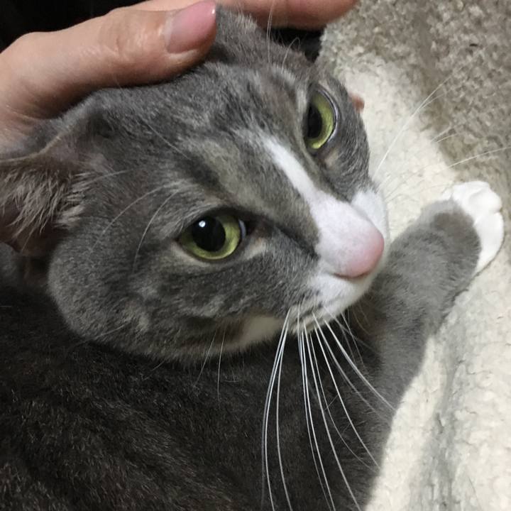 263f10e9 ddbc 4c66 83dd b6a9591efb55