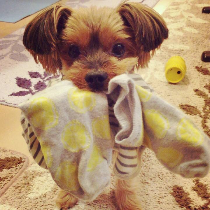 2641ad3f 8ec6 40a3 a92a 4bdfbccdfc80