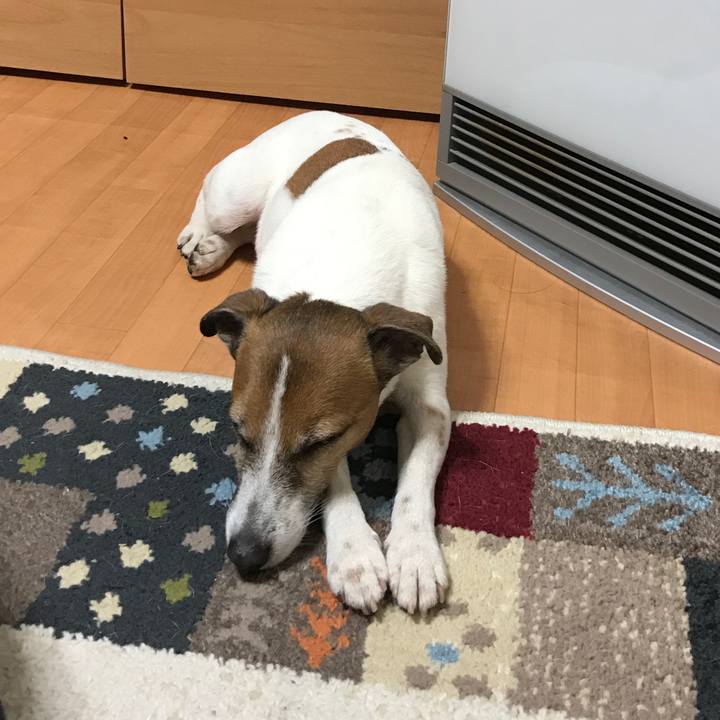 2641e647 e6b7 4746 b8b2 549060875392