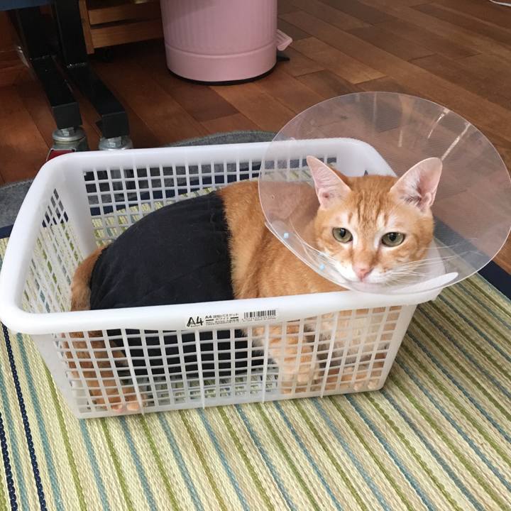 26421f61 c146 4b82 949d 9871db23cbd1