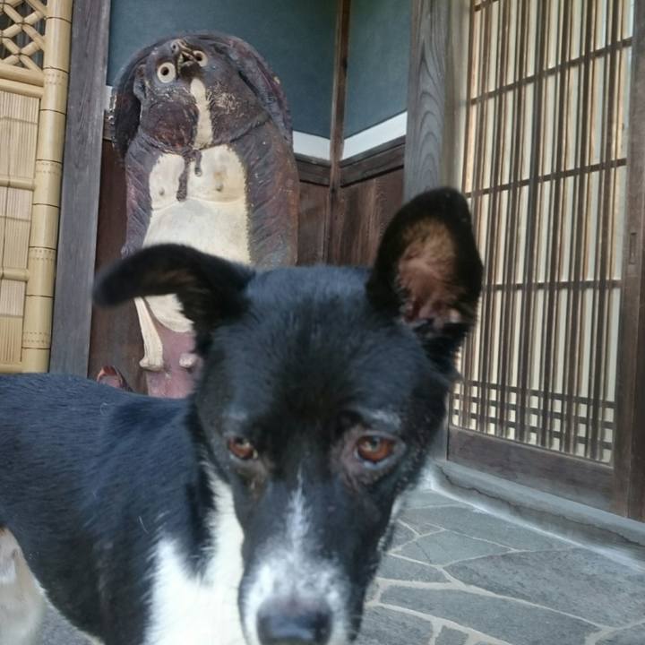 26428ec3 2434 43cb a7f9 c7f749709eff