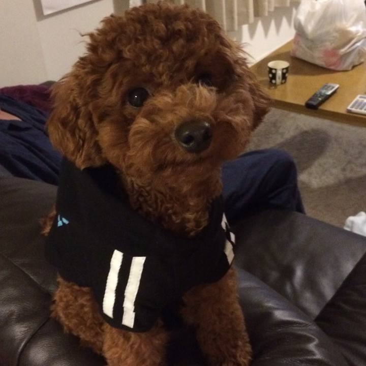 26429c5b 3840 4a67 a6ad f40e1a678fcd