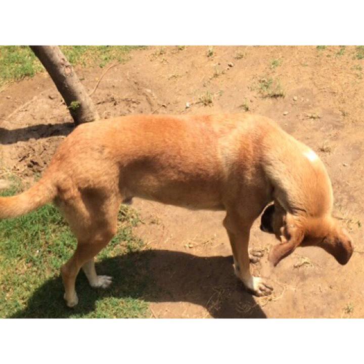 2642cf65 1c43 43ae be61 fbd916387bf1