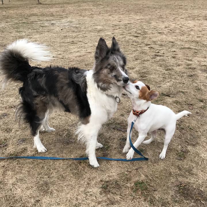 2643169b 547b 4139 8e13 5997a433f286