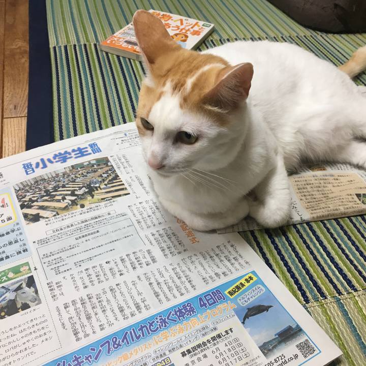 2643539f 68e9 4dd7 add7 f171b64abd00