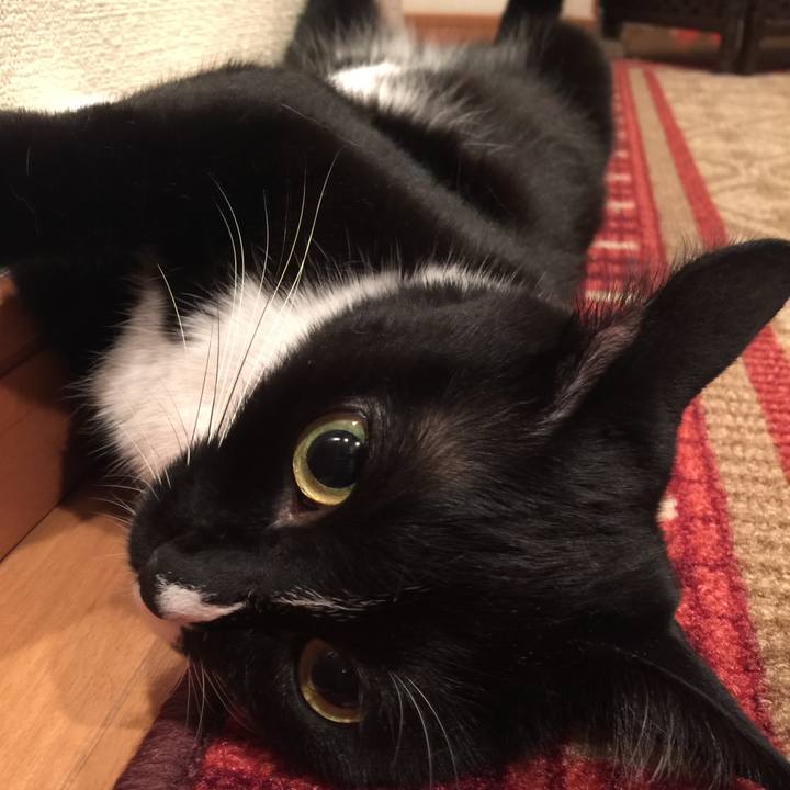 26436af3 0472 44b5 b0a4 5b8c06a8503c