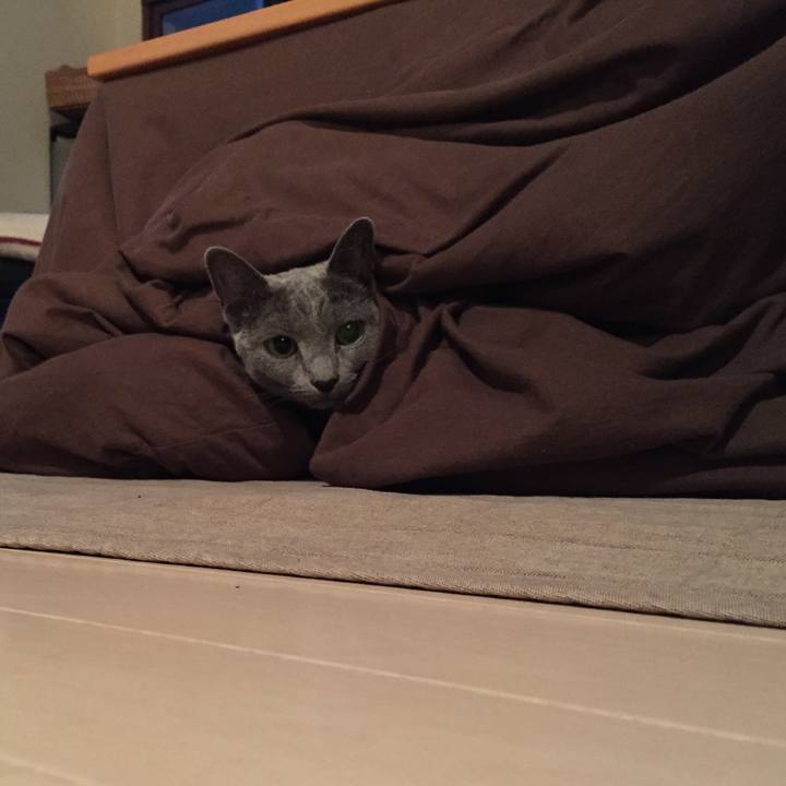 2643c6ee 89ac 47d9 b4d3 3aaaf393936a