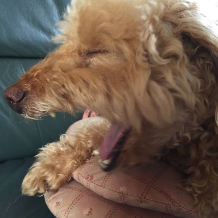 2643e5cd e993 46f1 ba36 628c59cf1aa4