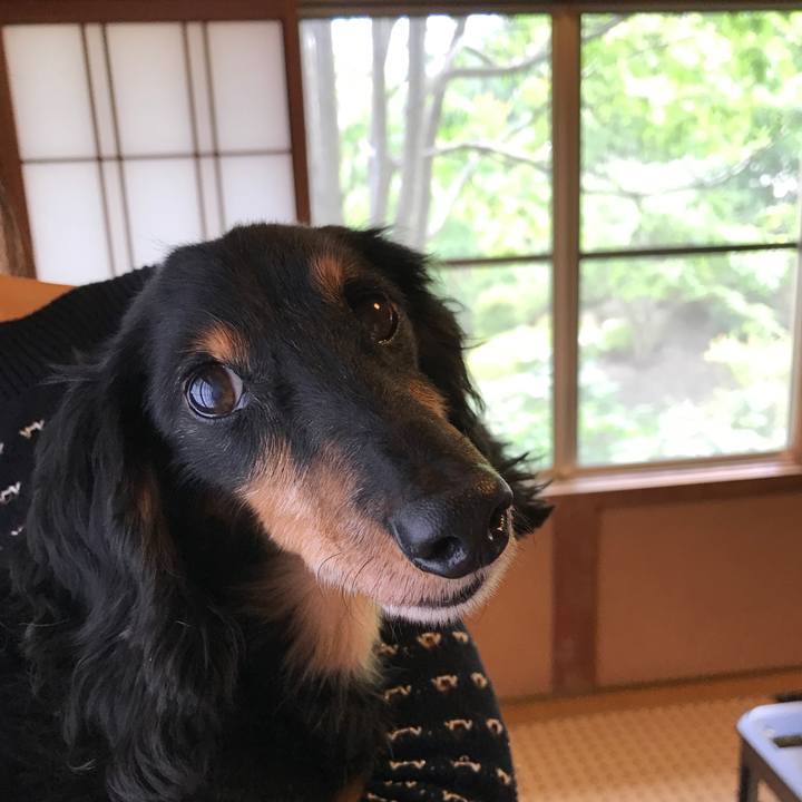 2643f579 ed89 4a59 afa6 9a6464eaa25a