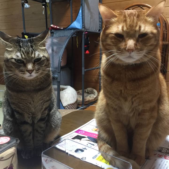 2644082f 835d 41bb 96c6 971bbd0b0daa