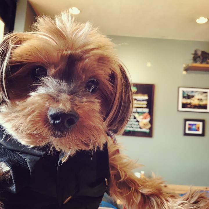 2644b4dc 7946 4c31 8c63 5ce0df1abb8d