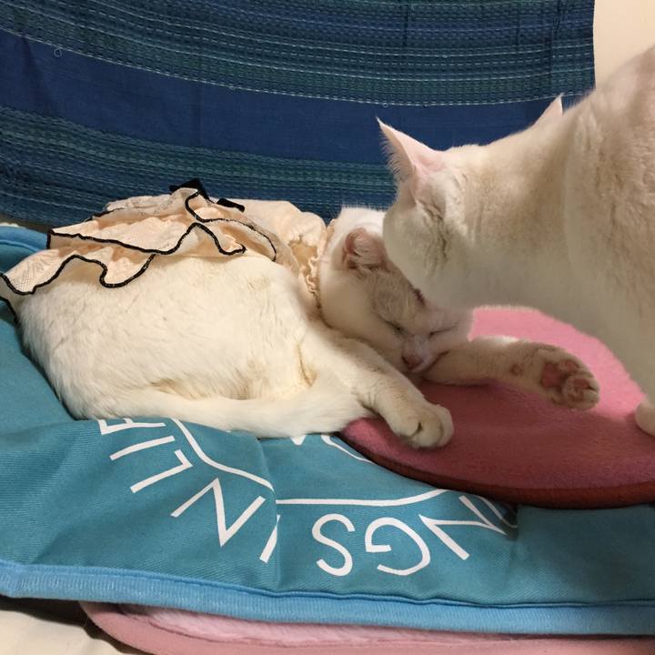 26456667 43ba 4a7d 84bc 701645a8eec8