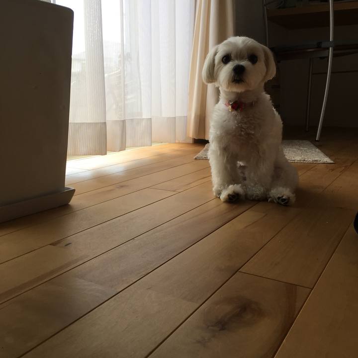 264588b3 69c4 4134 b96a 0b672905b464