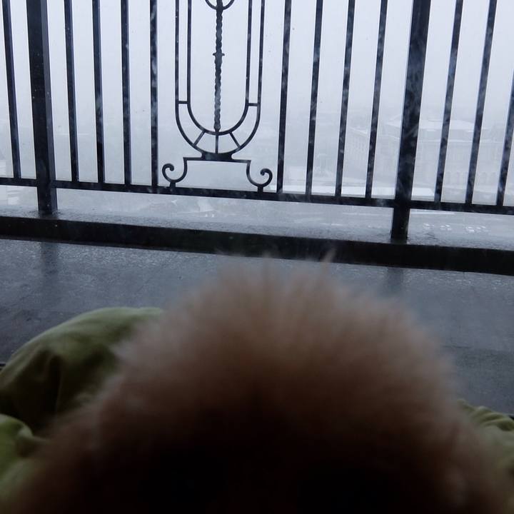 2646ba3b a74f 4084 bcde e821b756965e