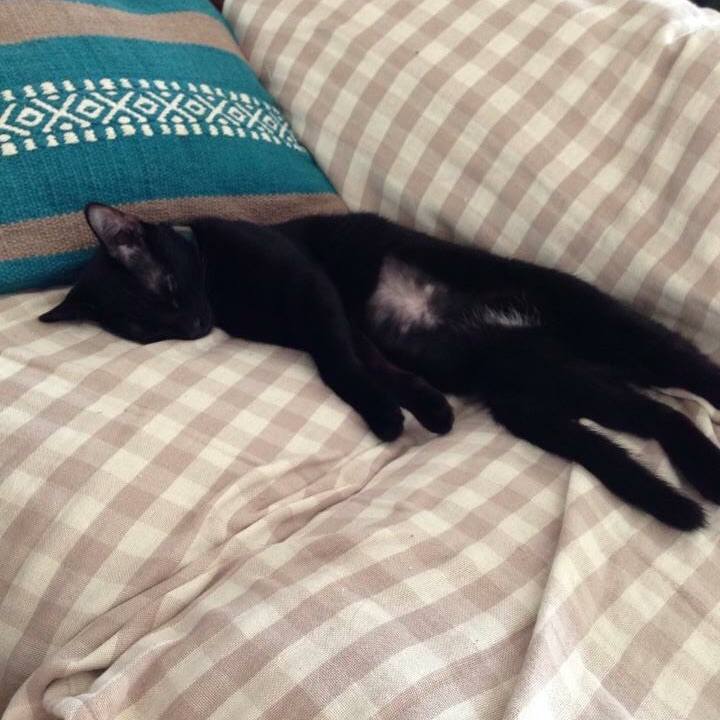 2646c288 2308 422d a810 baea6fbc73f4