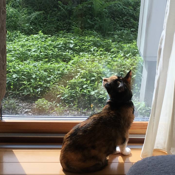 264796ca cf06 4b48 82a5 ecfb9bd3982a