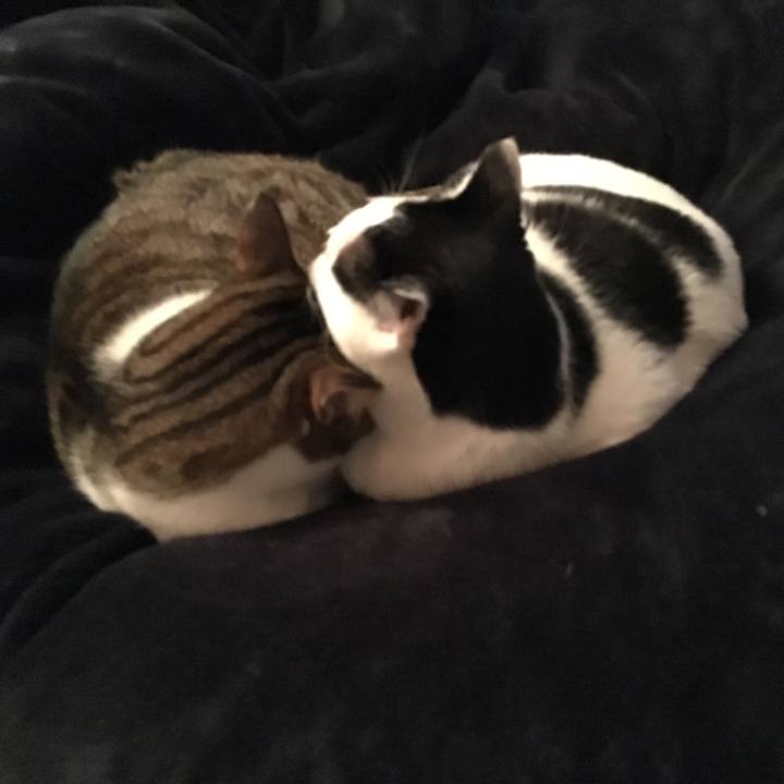 26479cdb 545e 4cee 999e c6ade52db5fb