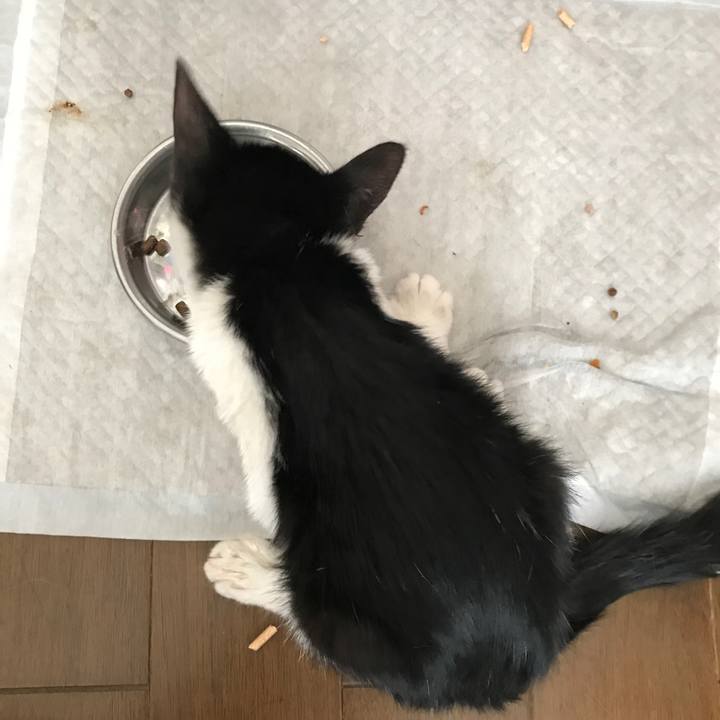 2648dfa3 071b 459a 99b6 747bc0f2e7fe