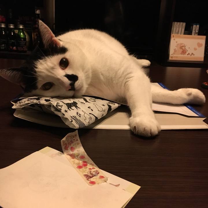 2648fdf8 f77d 4bf1 bc55 f804e62670e2