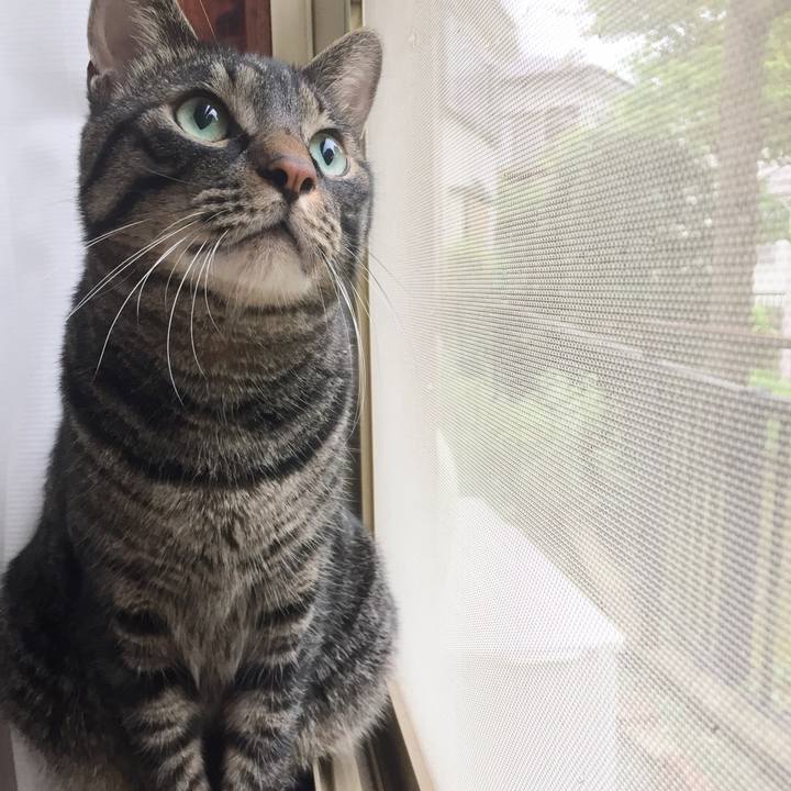 26490fa1 8502 4e5a 9cf0 89883f00cafc