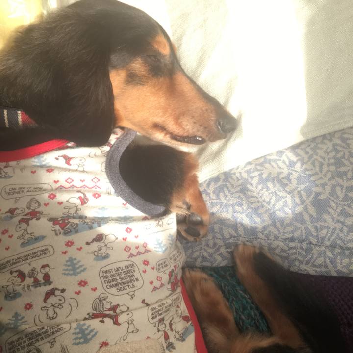 26499723 7467 4016 b1a5 95d13111ac41