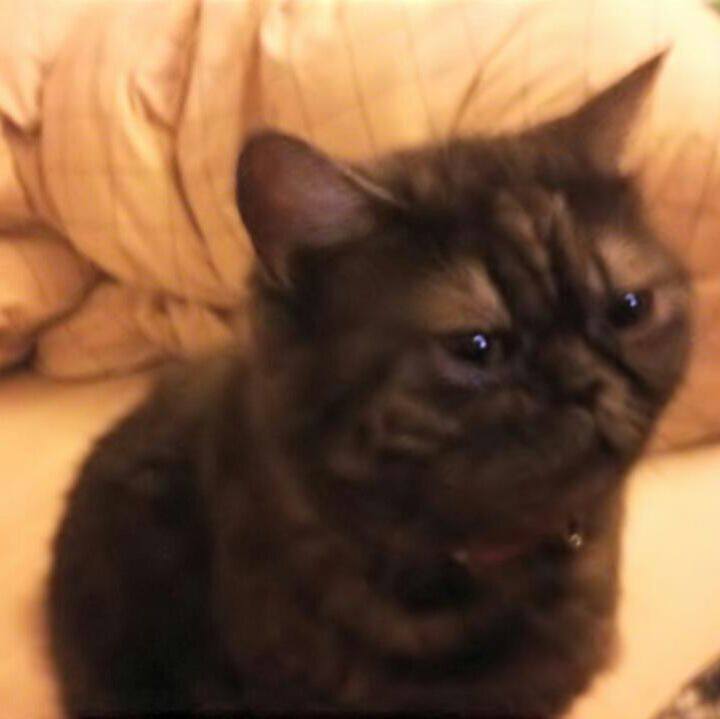 264a45b3 a521 4251 879f a70da5e743c8