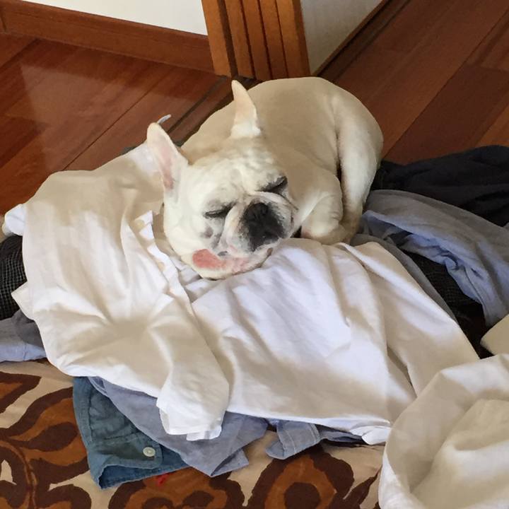 264b37a7 46a6 4091 8da3 5196561857fd